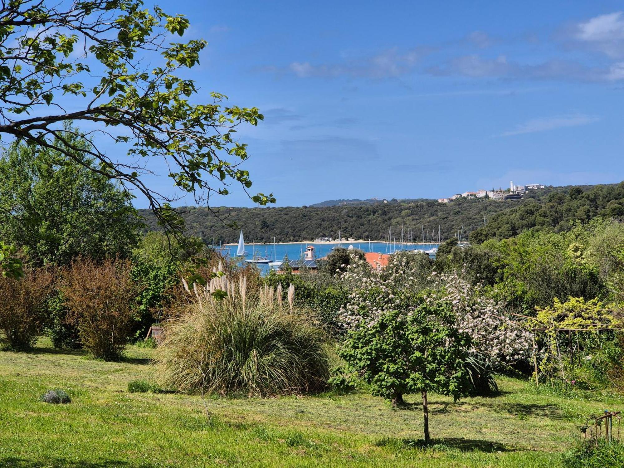 באניולה Vito & Maria Eco Friendly Accommodation מראה חיצוני תמונה