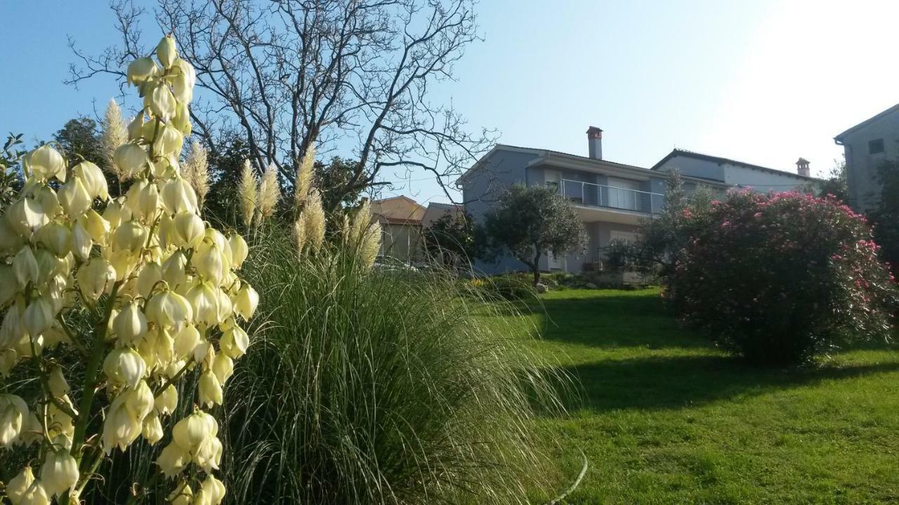 באניולה Vito & Maria Eco Friendly Accommodation מראה חיצוני תמונה